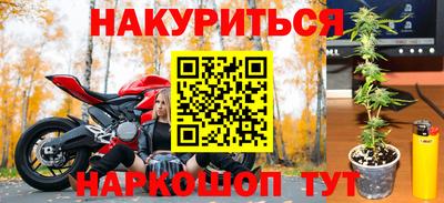дживик Кандалакша