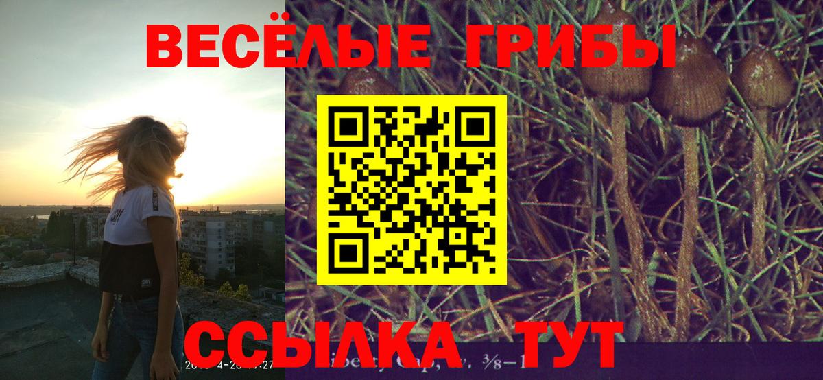 Галлюциногенные грибы Cubensis  Вход с VPN  Конаково  купить   Галлюциногенные грибы MAGIC MUSHROOMS 